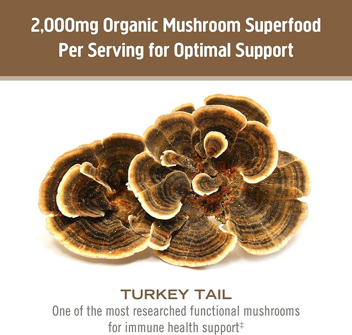 Turkey Tail 667mg - 75 capsules