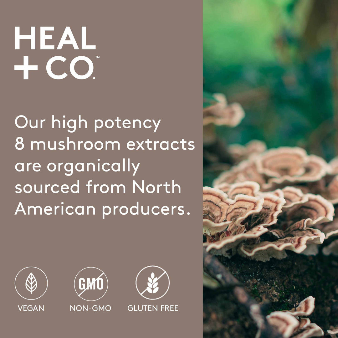 8 Mushroom Immunity Tincture