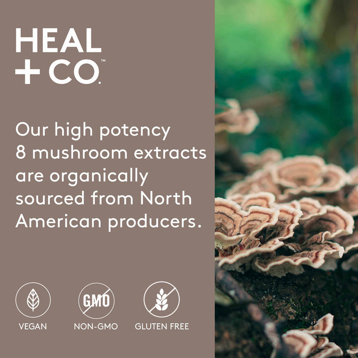 8 Mushroom Immunity Tincture