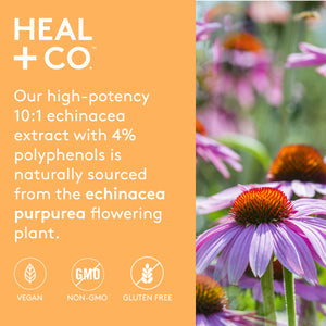 Echinacea - 120 Capsules