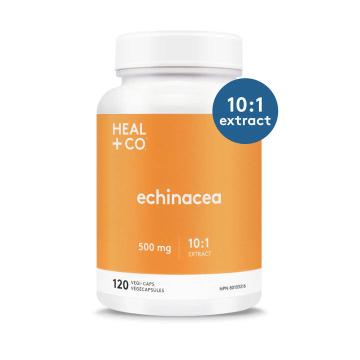 Echinacea - 120 Capsules