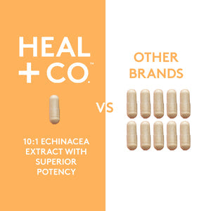 Echinacea - 120 Capsules