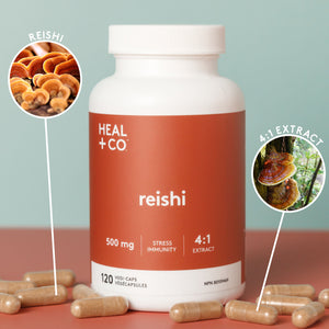 Reishi - Stress & Immunity