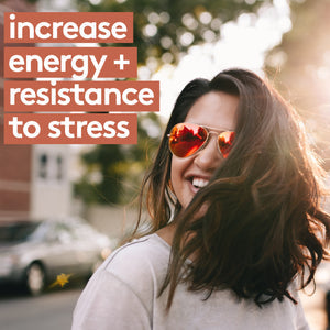 Reishi - Stress & Immunity