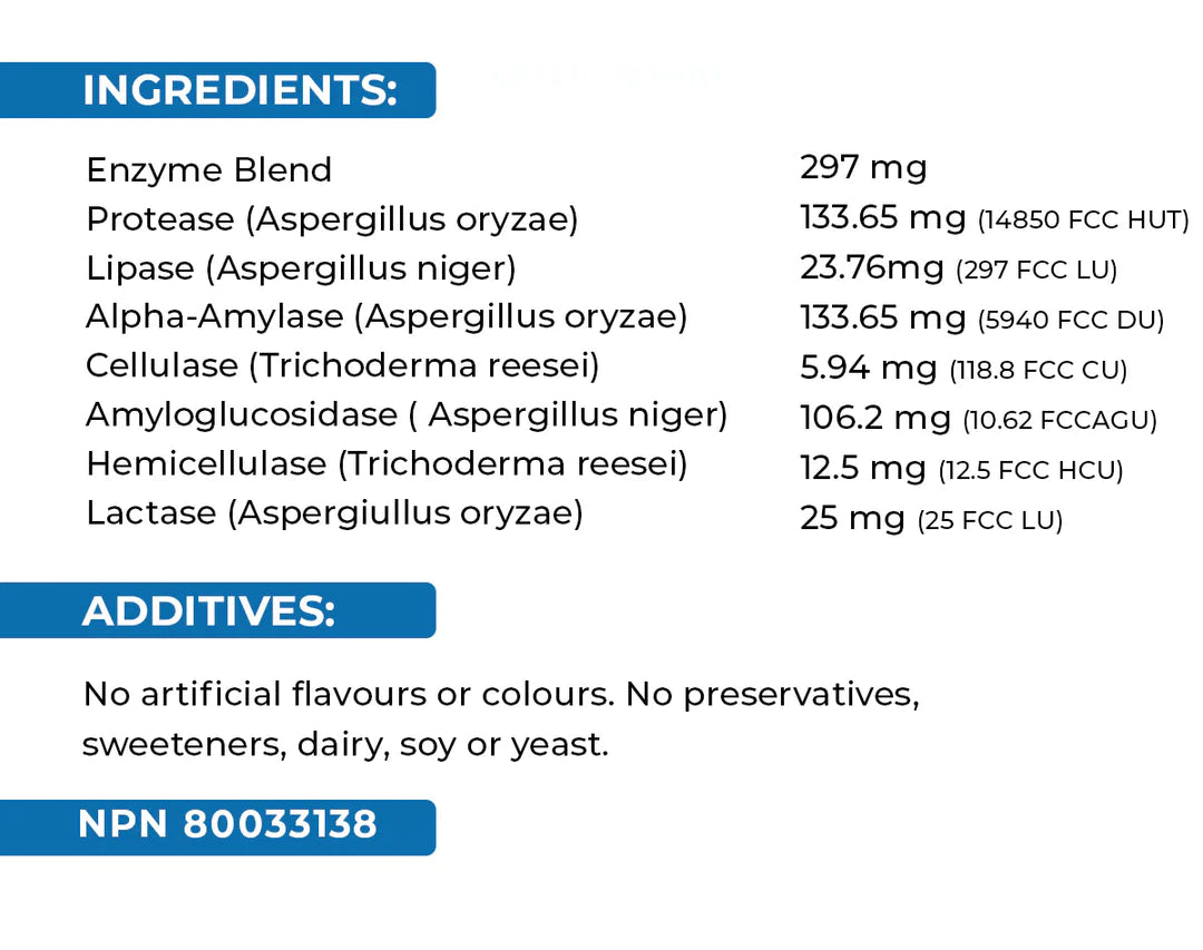 Digestive Enzymes - 60 Capsules