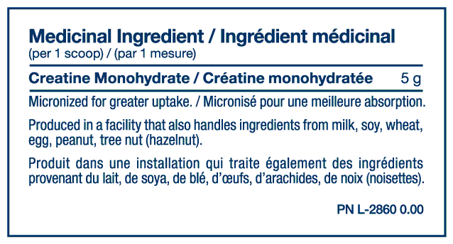 PVL 100% Pure Creatine
