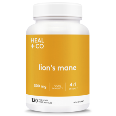Heal + Co Lion's Mane