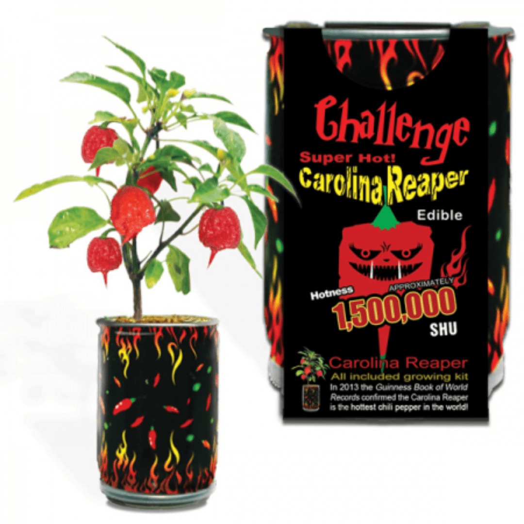 Carolina Reaper Pepper Growing Kit w extra seed pack