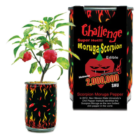 Moruga Scorpion Pepper Growing Kit w extra seed pack