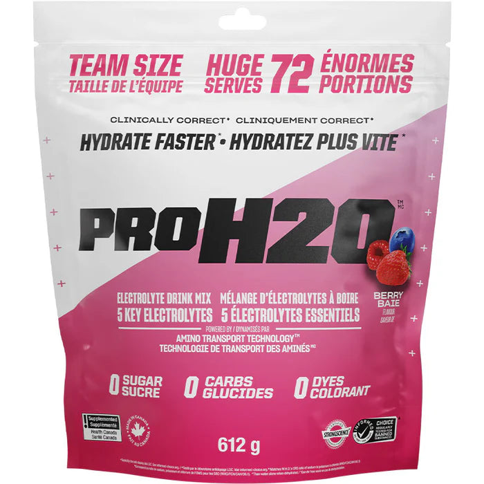 PVL Pro H2O